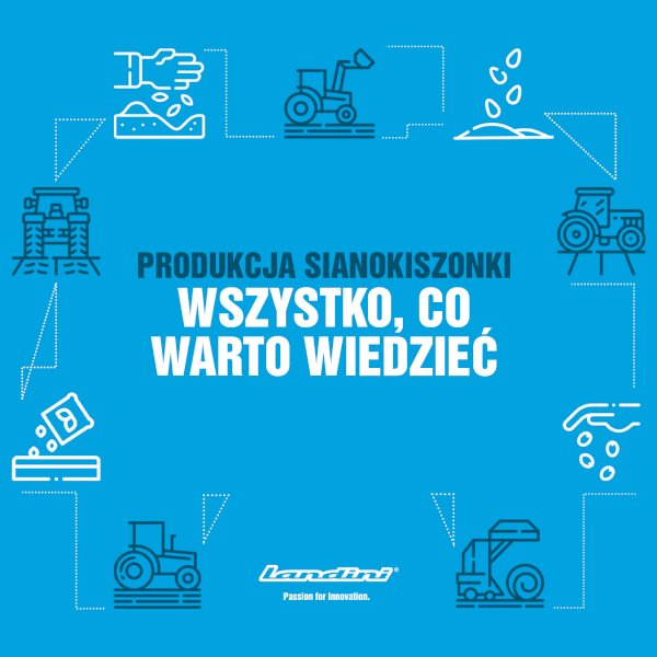Produkcja sianokiszonki — wszystko, co warto wiedzieć