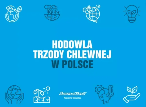 Hodowla Trzody Chlewnej w Polsce: Wyzwania i Nowoczesne Technologie
