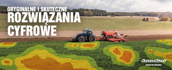 LANDINI: ORYGINALNE I SKUTECZNE ROZWIĄZANIA CYFROWE